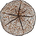 Timber Properties